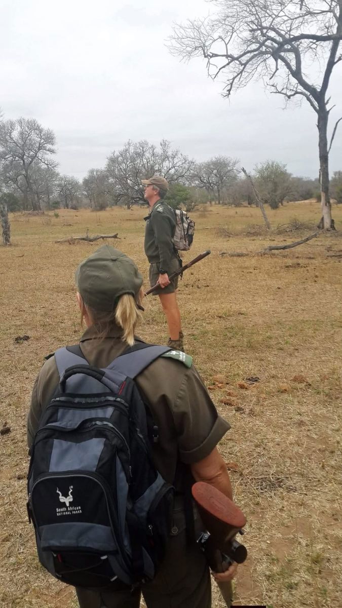 Game Walk with the Big 5